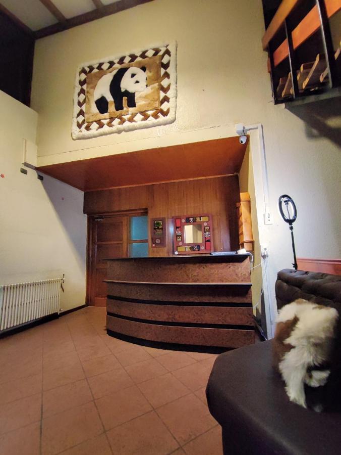 Bed and Breakfast Dallas Housen Osorno Exterior foto